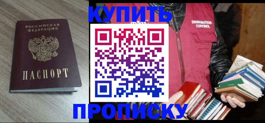 прописка 2025 в Ставрополе